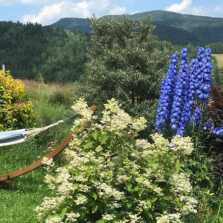Osada Chyze Jewki Villa Cisna Kültér fotó